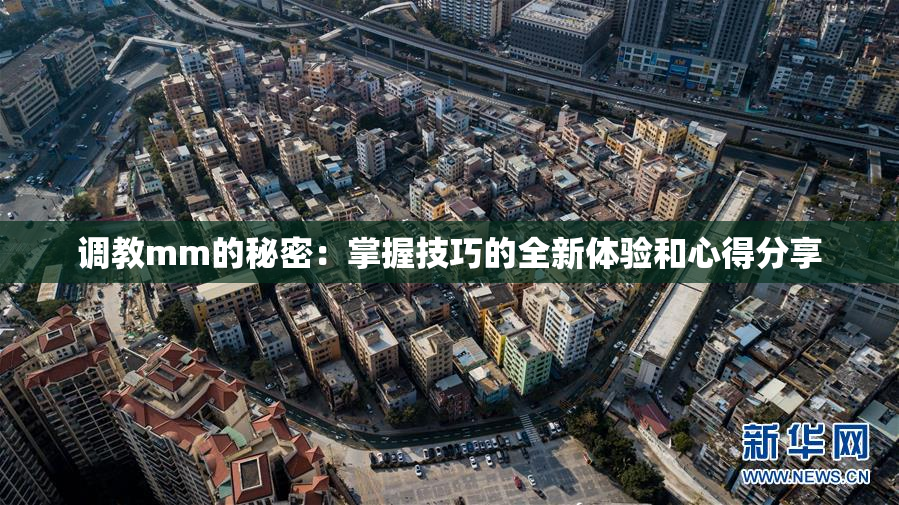 调教mm的秘密：掌握技巧的全新体验和心得分享
