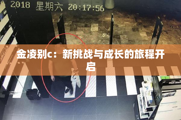 金凌别c：新挑战与成长的旅程开启