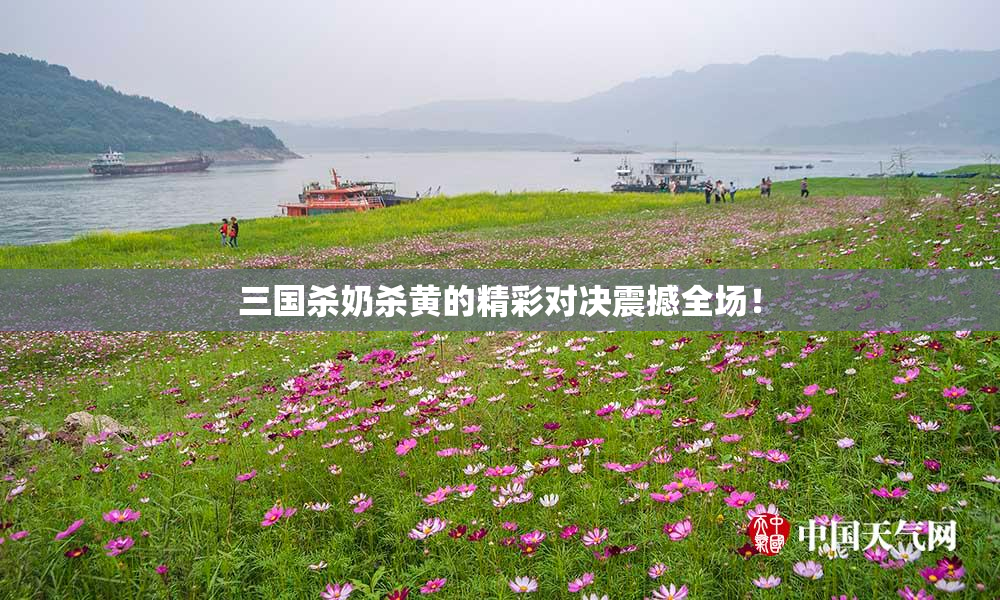 三国杀奶杀黄的精彩对决震撼全场！