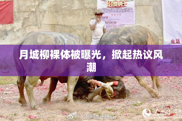 月城柳裸体被曝光，掀起热议风潮