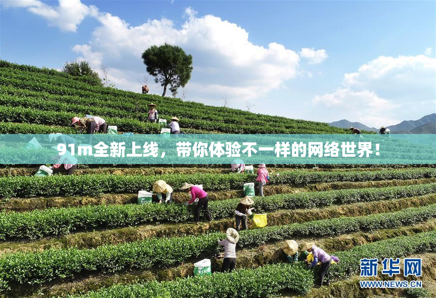 91m全新上线，带你体验不一样的网络世界！