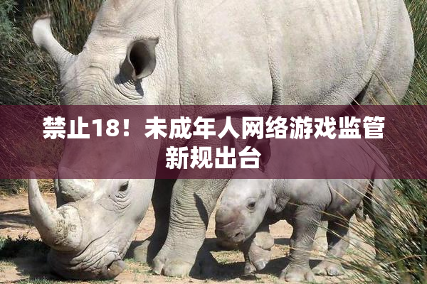 禁止18！未成年人网络游戏监管新规出台