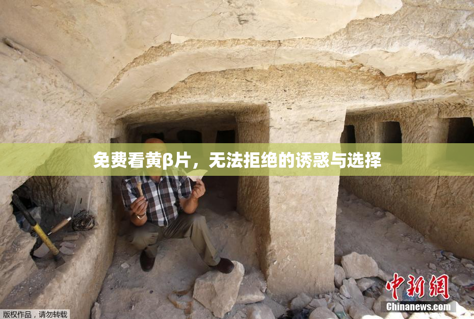 免费看黄β片，无法拒绝的诱惑与选择