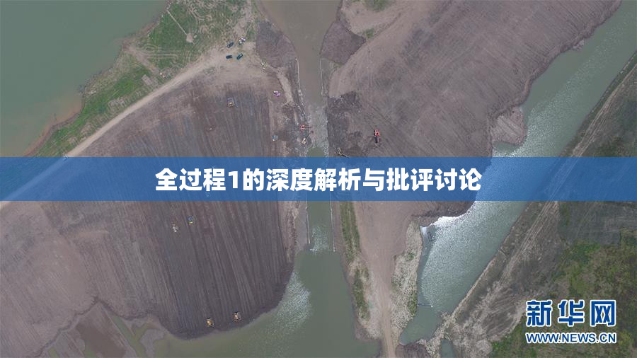 全过程1的深度解析与批评讨论