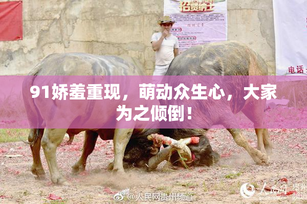 91娇羞重现，萌动众生心，大家为之倾倒！