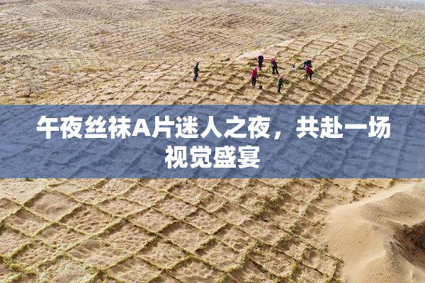 午夜丝袜A片迷人之夜，共赴一场视觉盛宴