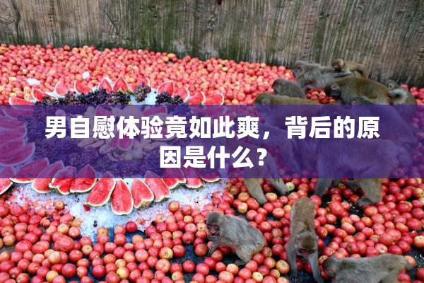 男自慰体验竟如此爽，背后的原因是什么？