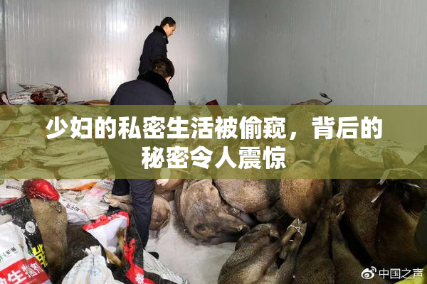 少妇的私密生活被偷窥，背后的秘密令人震惊