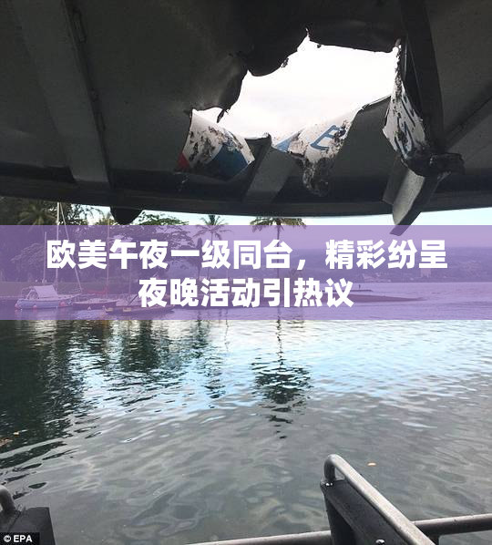 欧美午夜一级同台，精彩纷呈夜晚活动引热议