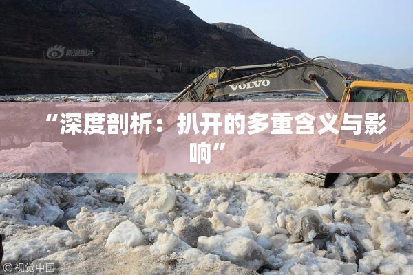 “深度剖析：扒开的多重含义与影响”