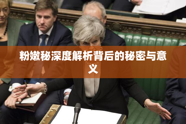粉嫩秘深度解析背后的秘密与意义