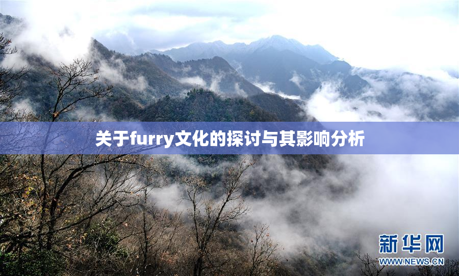 关于furry文化的探讨与其影响分析