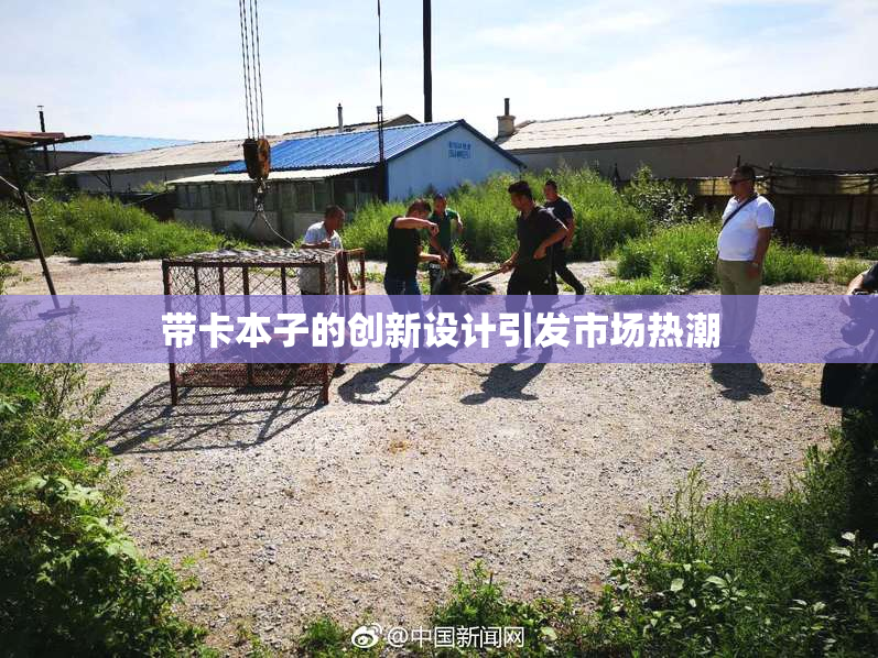 带卡本子的创新设计引发市场热潮