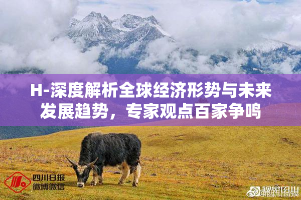 H-深度解析全球经济形势与未来发展趋势，专家观点百家争鸣