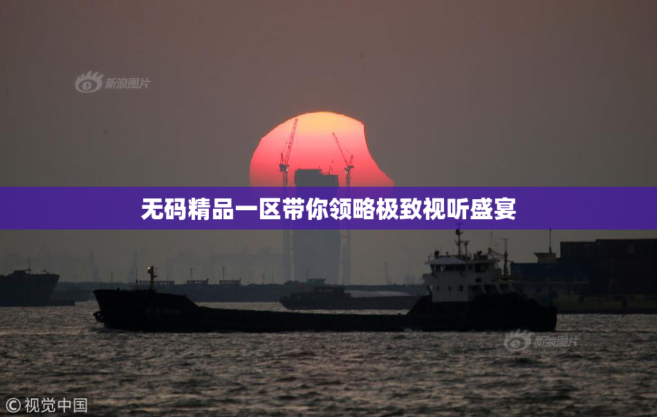 无码精品一区带你领略极致视听盛宴