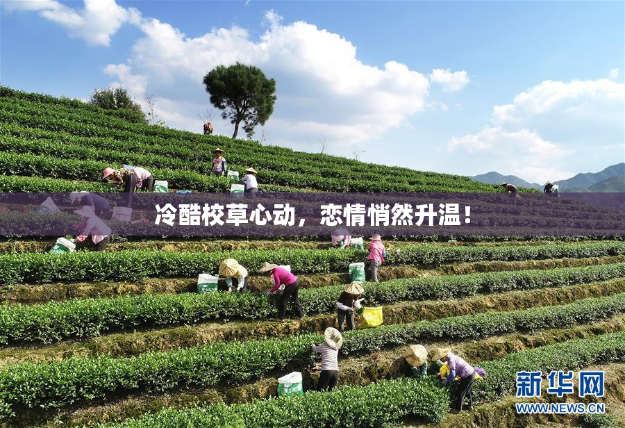 冷酷校草心动，恋情悄然升温！