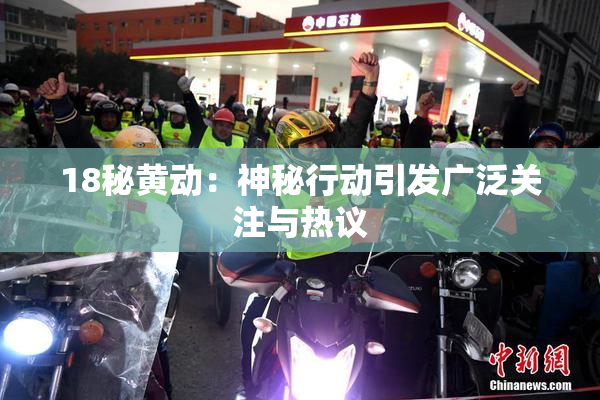 18秘黄动：神秘行动引发广泛关注与热议