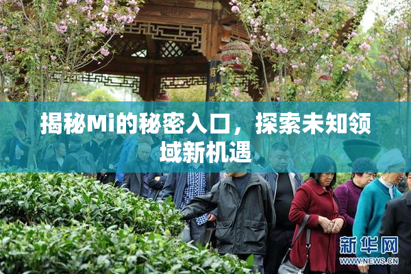揭秘Mi的秘密入口，探索未知领域新机遇