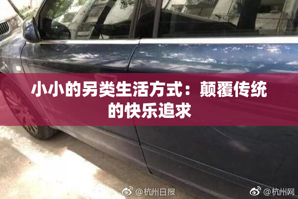 小小的另类生活方式：颠覆传统的快乐追求