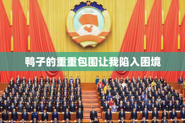 鸭子的重重包围让我陷入困境