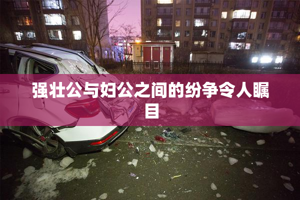 强壮公与妇公之间的纷争令人瞩目