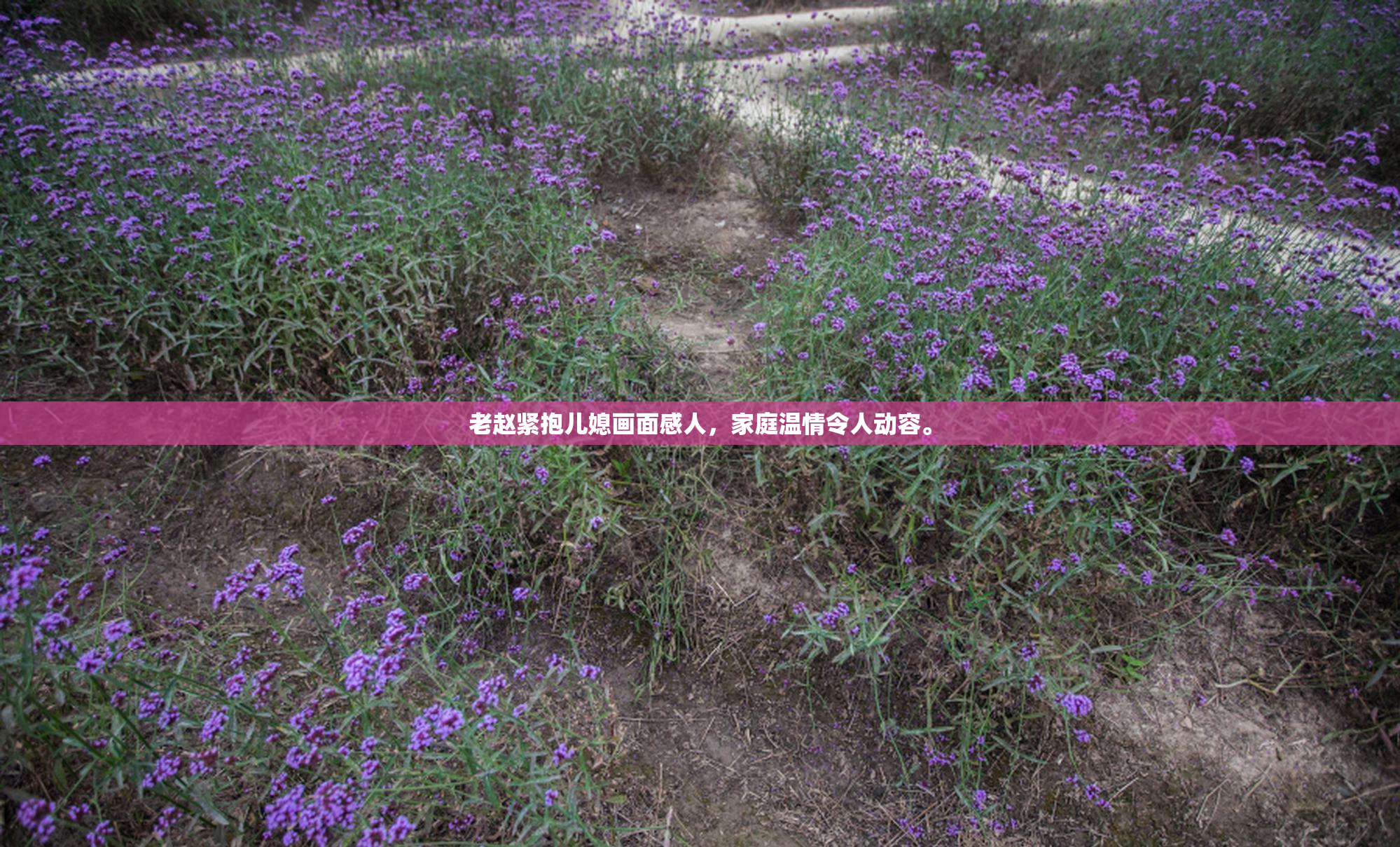 老赵紧抱儿媳画面感人，家庭温情令人动容。