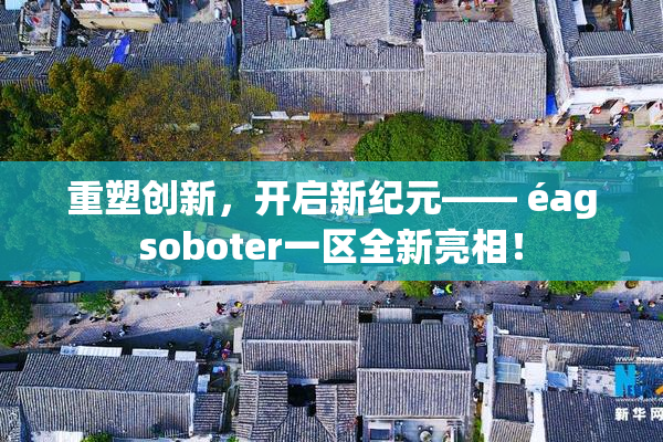 重塑创新，开启新纪元—— éagsoboter一区全新亮相！