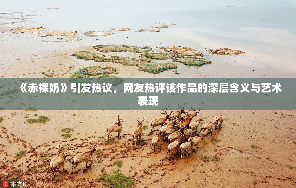 《赤裸奶》引发热议，网友热评该作品的深层含义与艺术表现