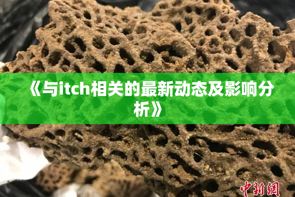 《与itch相关的最新动态及影响分析》