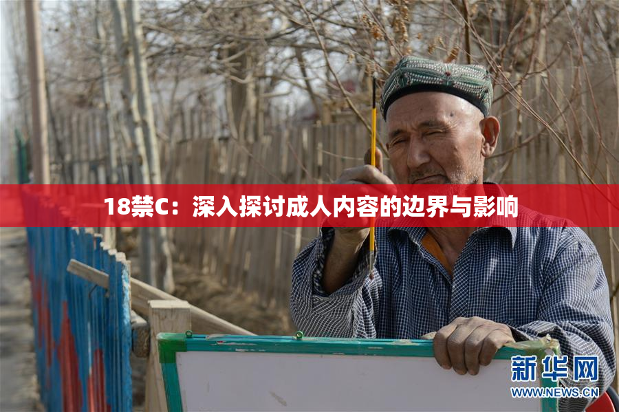 18禁C：深入探讨成人内容的边界与影响