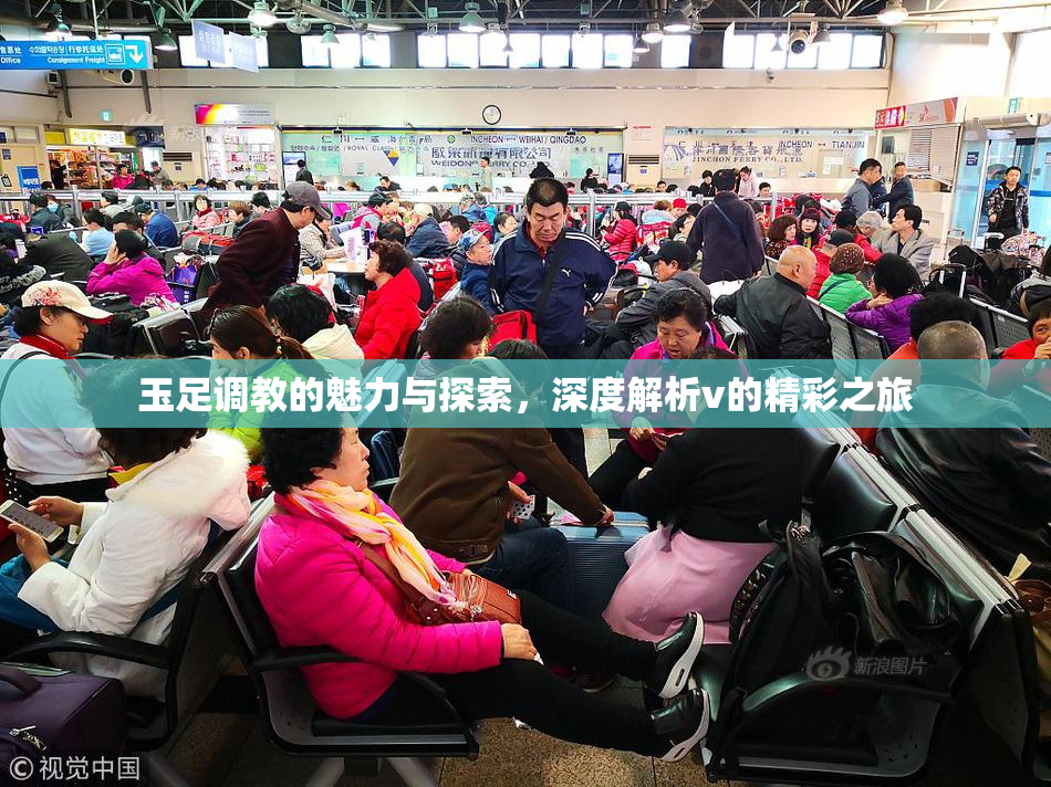 玉足调教的魅力与探索，深度解析v的精彩之旅