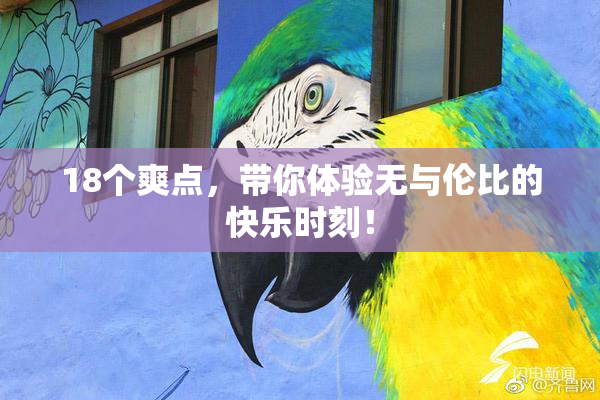 18个爽点，带你体验无与伦比的快乐时刻！