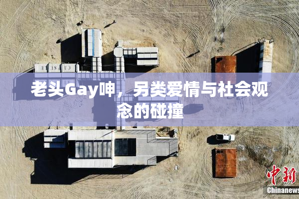 老头Gay呻，另类爱情与社会观念的碰撞