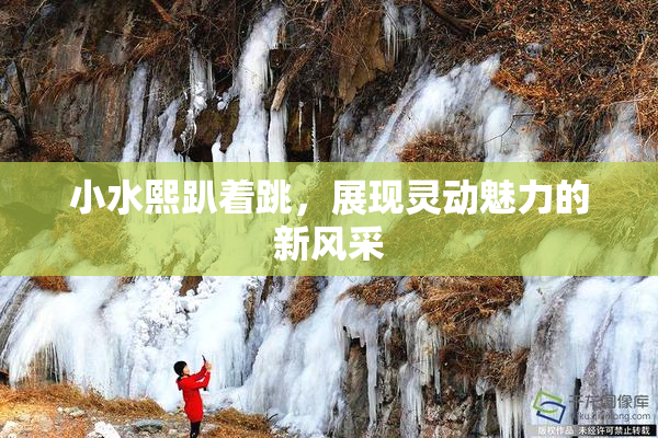 小水熙趴着跳，展现灵动魅力的新风采