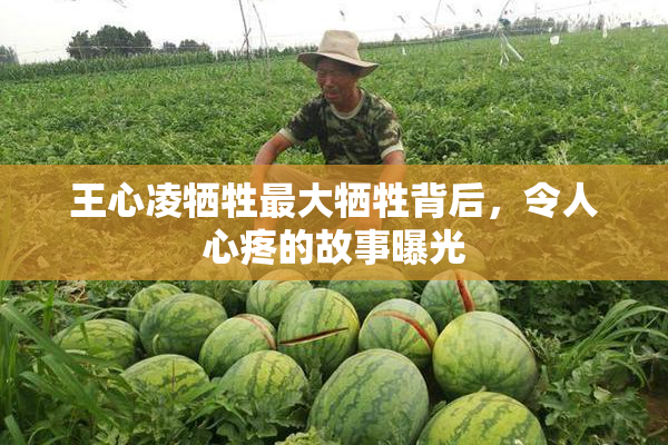 王心凌牺牲最大牺牲背后，令人心疼的故事曝光