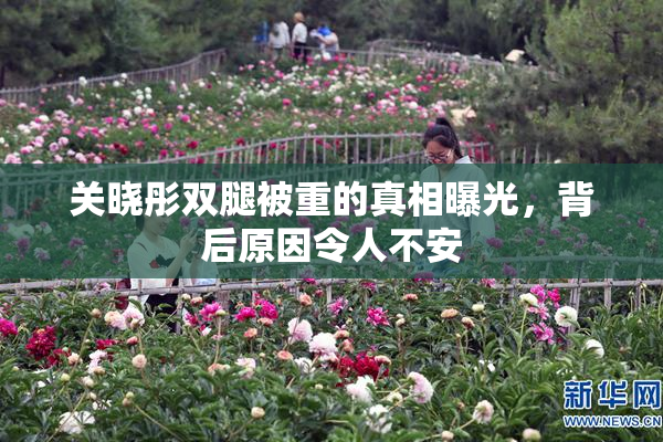 关晓彤双腿被重的真相曝光，背后原因令人不安