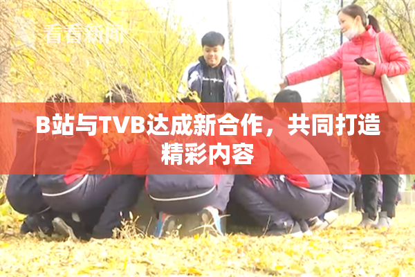 B站与TVB达成新合作，共同打造精彩内容