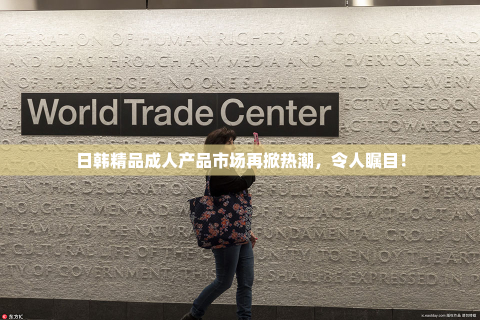日韩精品成人产品市场再掀热潮，令人瞩目！