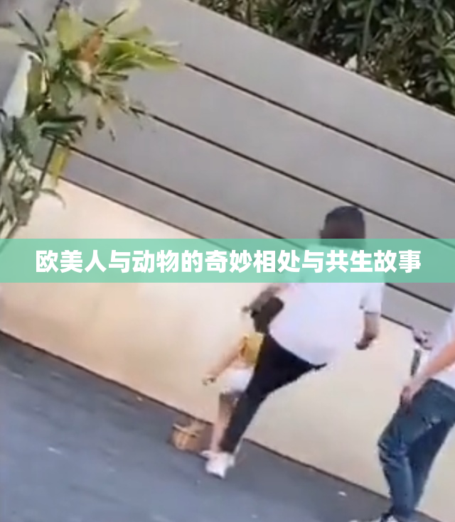 欧美人与动物的奇妙相处与共生故事