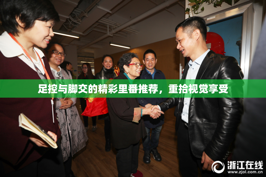 足控与脚交的精彩里番推荐，重拾视觉享受