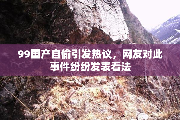 99国产自偷引发热议，网友对此事件纷纷发表看法