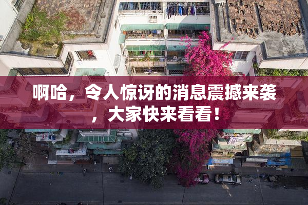 啊哈，令人惊讶的消息震撼来袭，大家快来看看！