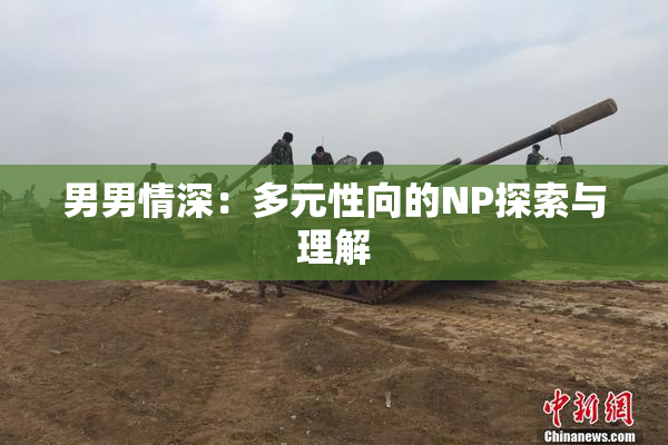 男男情深：多元性向的NP探索与理解