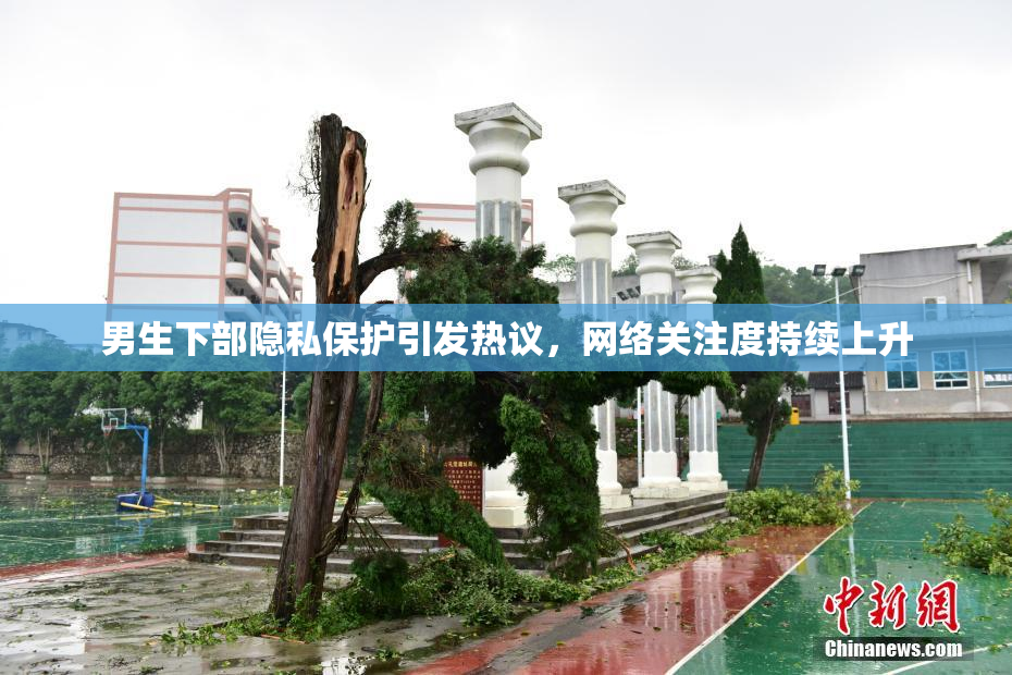 男生下部隐私保护引发热议，网络关注度持续上升