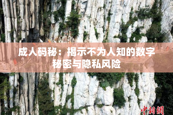 成人码秘：揭示不为人知的数字秘密与隐私风险