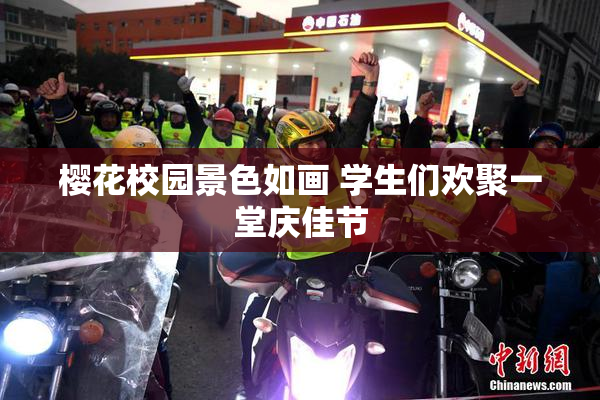 樱花校园景色如画 学生们欢聚一堂庆佳节