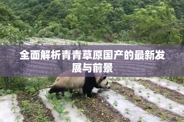 全面解析青青草原国产的最新发展与前景
