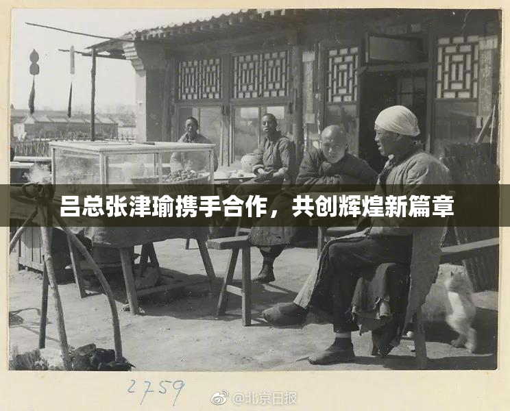 吕总张津瑜携手合作，共创辉煌新篇章