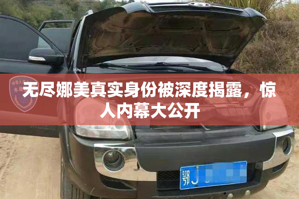 无尽娜美真实身份被深度揭露，惊人内幕大公开
