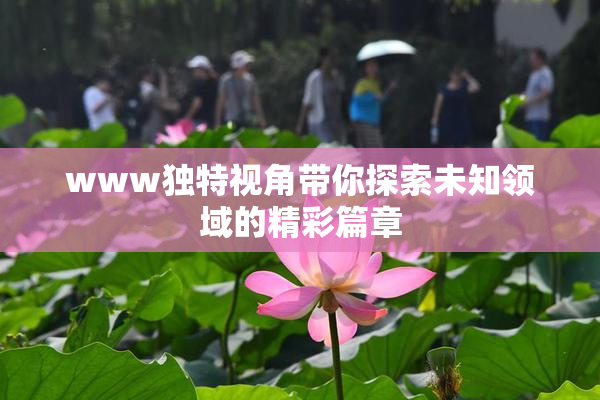 www独特视角带你探索未知领域的精彩篇章